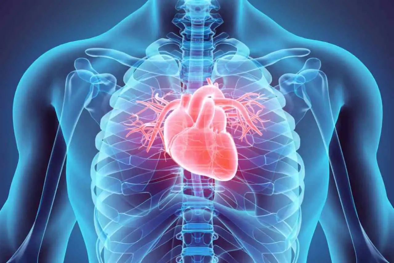 Cosa sono le malattie cardiovascolari? attacco cardiaco, ictus e altri disturbi