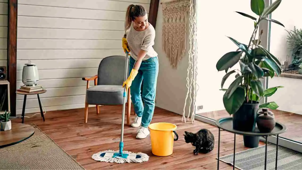 L’errore che fanno tutti: ecco l’orario migliore della giornata per pulire casa velocemente