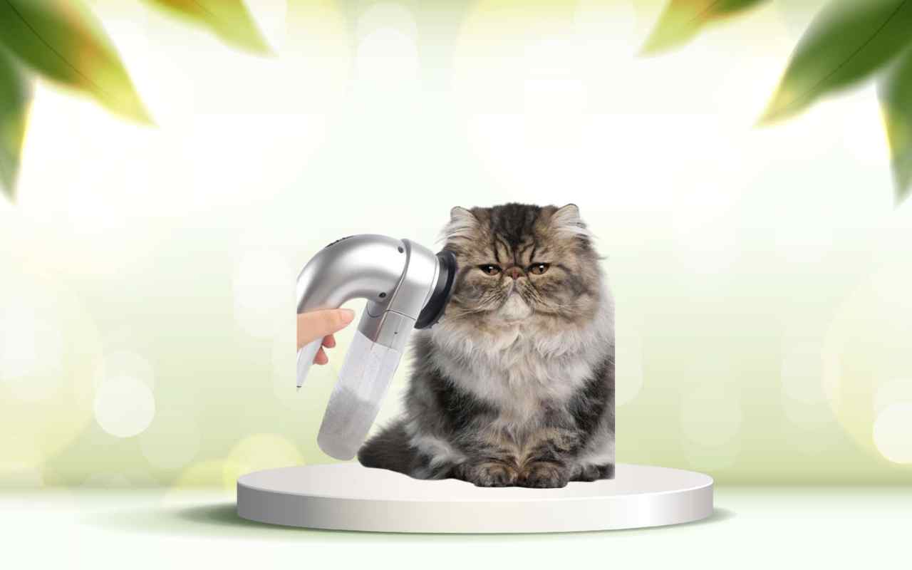 Dì addio ai peli in casa con SpazzolAmica: comfort e pulizia in un solo gesto